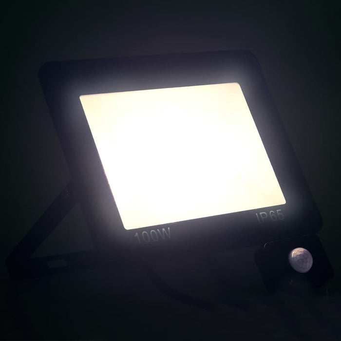 Proiector LED cu senzor, 100 W, alb rece - WALTI WALTI