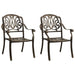 Set mobilier bistro, 3 piese, bronz, aluminiu turnat - WALTI WALTI