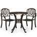 Set mobilier bistro, 3 piese, bronz, aluminiu turnat - WALTI WALTI