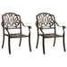 Set mobilier bistro, 3 piese, bronz, aluminiu turnat - WALTI WALTI