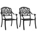 Set mobilier bistro, 3 piese, negru, aluminiu turnat - WALTI WALTI
