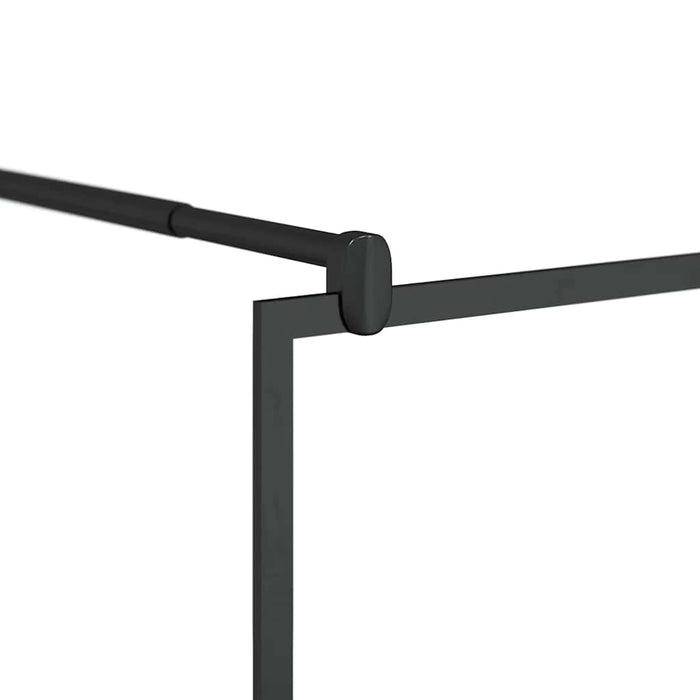 Paravan duș walk-in, negru, 100x195 cm, sticlă ESG transparentă - WALTI WALTI