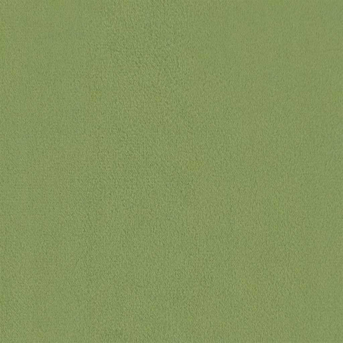 Scaun cu picioare din lemn, verde deschis, catifea - WALTI WALTI