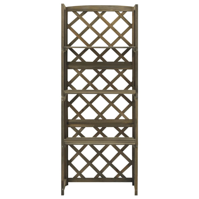 Spalier cu rafturi, gri, 55x30x140 cm, lemn masiv brad - WALTI WALTI