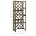 Spalier cu rafturi, gri, 55x30x140 cm, lemn masiv brad - WALTI WALTI