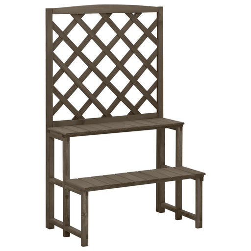 Suport plante cu spalier, gri, 70x42x115 cm, lemn masiv de brad - WALTI WALTI