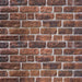 Panouri de perete 10 pcs Cărămiziu Maro 100 x 50 cm Spumă EPS - WALTI WALTI
