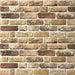 Panouri de perete 10 pcs Nisip Întunecat 100 x 50 cm Spumă EPS - WALTI WALTI