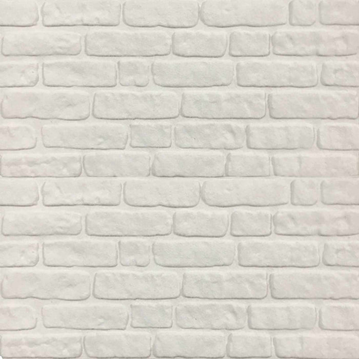 Panouri de perete 10 pcs Alb 100 x 50 cm Spumă EPS - WALTI WALTI