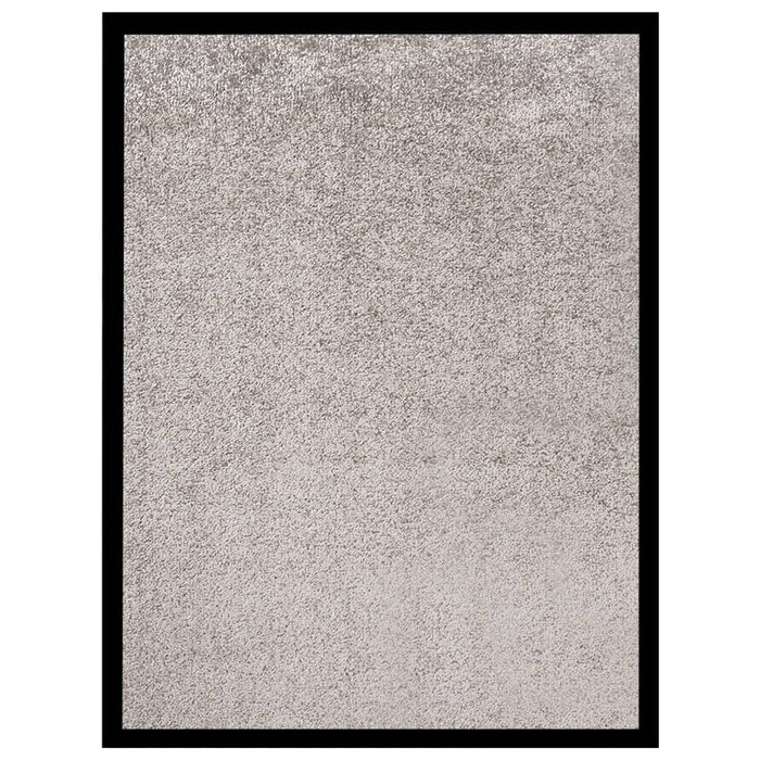 Covoraș intrare, gri, 40x60 cm WALTI