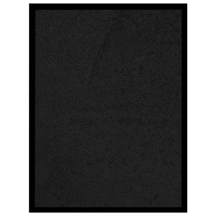 Covoraș intrare, negru, 40x60 cm - WALTI WALTI