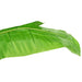 Bananier artificial cu ghiveci, verde, 300 cm - WALTI WALTI