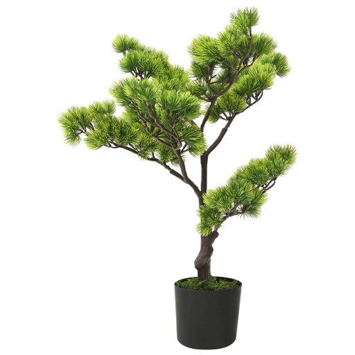 Bonsai Pinus artificial cu ghiveci, verde, 60 cm - WALTI WALTI