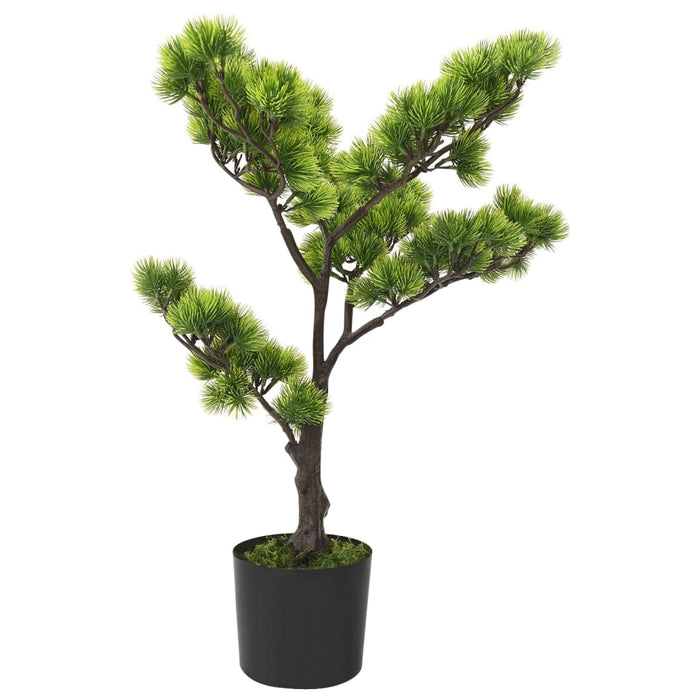 Bonsai Pinus artificial cu ghiveci, verde, 60 cm - WALTI WALTI