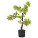 Bonsai chiparos artificial cu ghiveci, verde, 60 cm - WALTI WALTI
