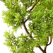 Bonsai chiparos artificial cu ghiveci, verde, 60 cm - WALTI WALTI