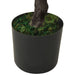 Bonsai chiparos artificial cu ghiveci, verde, 60 cm - WALTI WALTI