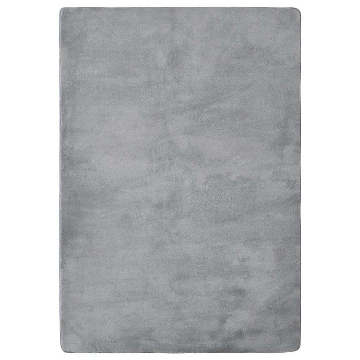 Covor teddy, gri, 170x120 cm WALTI