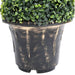 Plantă artificială de cimișir cu ghiveci, verde, 89 cm, spirală - WALTI WALTI