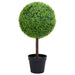 Plantă artificială cimișir cu ghiveci, verde, 71cm, formă minge - WALTI WALTI