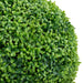 Plantă artificială cimișir cu ghiveci, verde, 50cm, formă minge - WALTI WALTI
