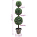 Plantă artificială cimișir cu ghiveci verde 118cm formă minge - WALTI WALTI