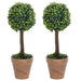 Plante artificiale cimișir cu ghiveci, 2 buc. verde 41 cm minge - WALTI WALTI