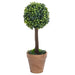 Plante artificiale cimișir cu ghiveci, 2 buc. verde 41 cm minge - WALTI WALTI