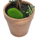 Plante artificiale cimișir cu ghiveci, 2 buc. verde 41 cm minge - WALTI WALTI