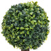 Plante artificiale cimișir cu ghiveci, 2 buc. verde 41 cm minge - WALTI WALTI
