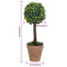 Plante artificiale cimișir cu ghiveci, 2 buc. verde 41 cm minge - WALTI WALTI