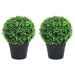 Plante artificiale cimișir cu ghiveci, 2 buc. verde 37 cm minge - WALTI WALTI