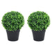 Plante artificiale cimișir cu ghiveci, 2 buc. verde 32 cm minge - WALTI WALTI