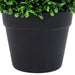 Plante artificiale cimișir cu ghiveci, 2 buc. verde 32 cm minge - WALTI WALTI