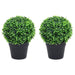 Plante artificiale cimișir cu ghiveci, 2 buc. verde 27 cm minge - WALTI WALTI