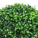 Plante artificiale cimișir cu ghiveci, 2 buc. verde 27 cm minge - WALTI WALTI