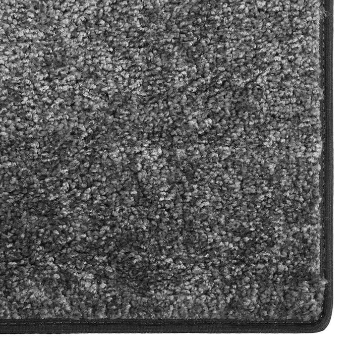 Covor moale anti-alunecare, gri, 67x180 cm WALTI