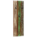 Cuier de haine de perete 2 buc. 36x3x110 cm lemn masiv reciclat - WALTI WALTI