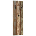 Cuier de haine de perete 2 buc. 36x3x110 cm lemn masiv reciclat - WALTI WALTI