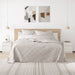 Noptiere, 2 buc., alb, 40x31x50 cm, lemn masiv de pin - WALTI WALTI
