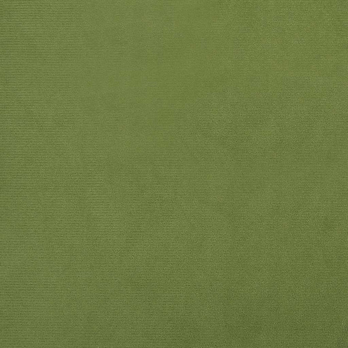 Canapea extensibilă cu 2 locuri, 2 perne, verde deschis catifea WALTI