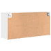 Dulap pentru pantofi cu raft Alb 103 x 30 x 51 cm Lemn compozit - WALTI WALTI