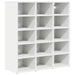Dulap pentru pantofi 77,5 x 30 x 83,5 cm Lemn prelucrat Alb - WALTI WALTI