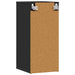 Pantofar, negru, 32x35x70 cm, PAL - WALTI WALTI