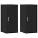 Pantofare, 2 buc., negru, 32x35x70 cm, PAL - WALTI WALTI
