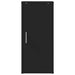 Pantofare, 2 buc., negru, 32x35x70 cm, PAL - WALTI WALTI