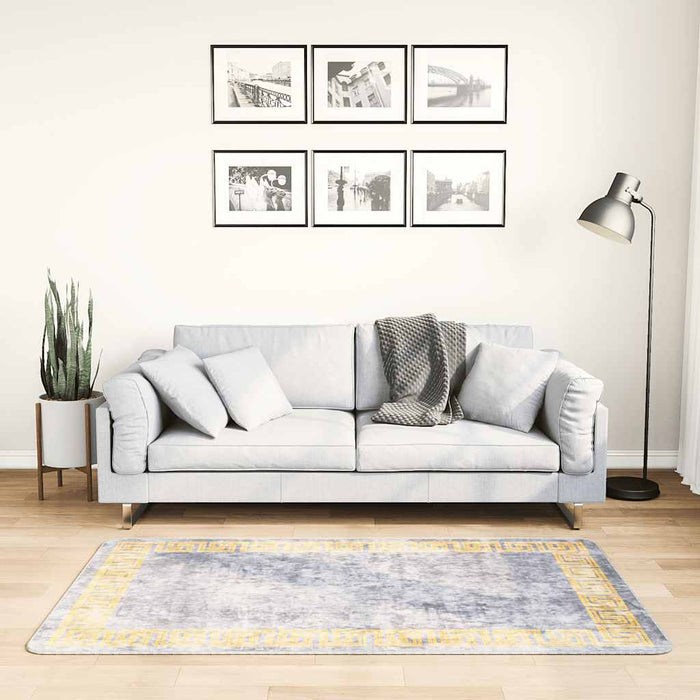 Covor lavabil, gri, 80x150 cm WALTI