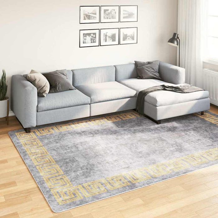 Covor lavabil, gri, 190x300 cm WALTI