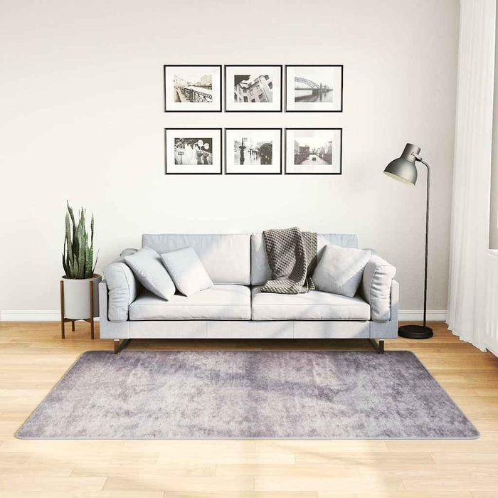 Covor lavabil, gri, 120x180 cm WALTI