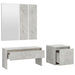 Set de mobilier pentru hol, gri beton, lemn prelucrat - WALTI WALTI
